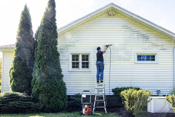 Best Building Exterior Washing  in Portales, NM